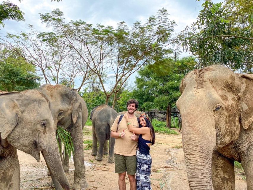 Koh Samui: Elephant Kingdom Sanctuary Half-Day Tour - Testimonials From Visitors