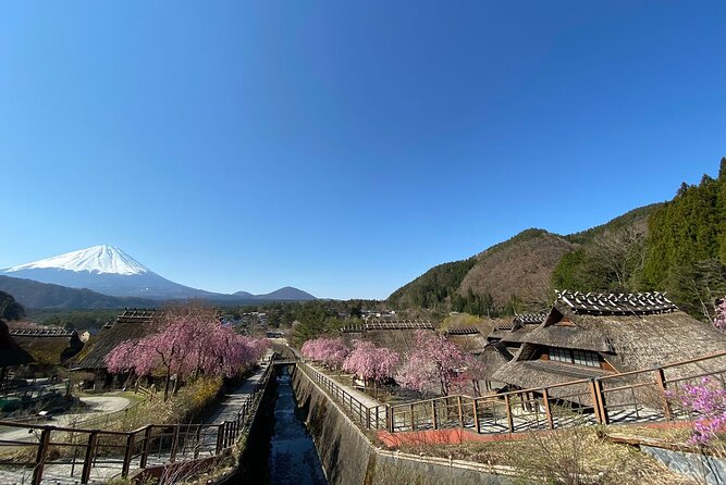 Mt Fuji Full-Day Tour By Car - Price and Additional Information