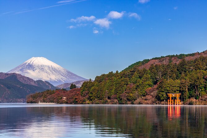 Mt. Fuji & Hakone 1 Day Tour From Tokyo (Return by Bullet Train in Option） - Guided Tour to Mount Fuji