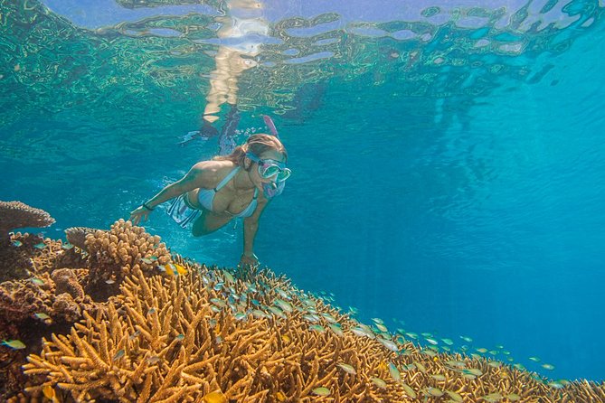 Passions of Paradise Great Barrier Reef Snorkel and Dive Cruise From Cairns by Luxury Catamaran - Frequently Asked Questions