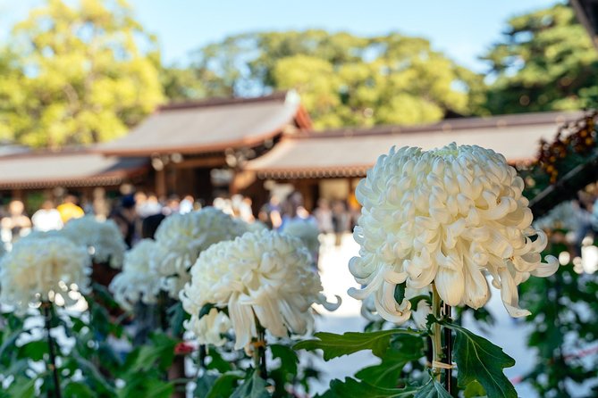Private City Kickstart Tour: Tokyo - Traveler Photos and Reviews