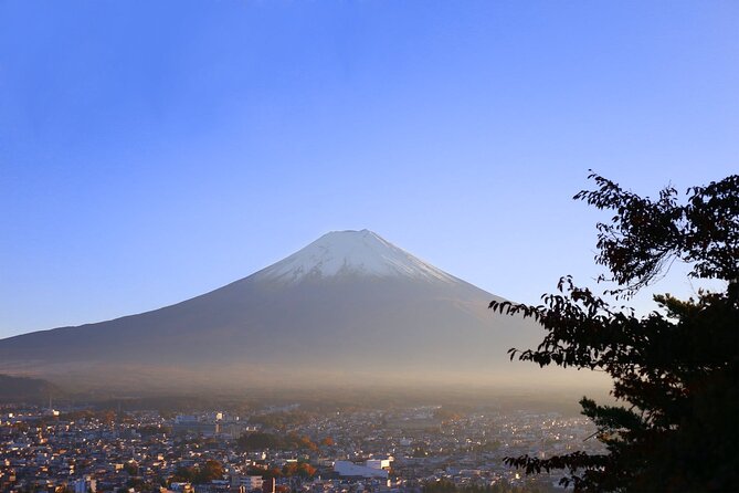 Private One Day Mt. Fuji - Lake Kawaguchiko Tour With Bilingual Driver - Vehicle Comfort and Amenities