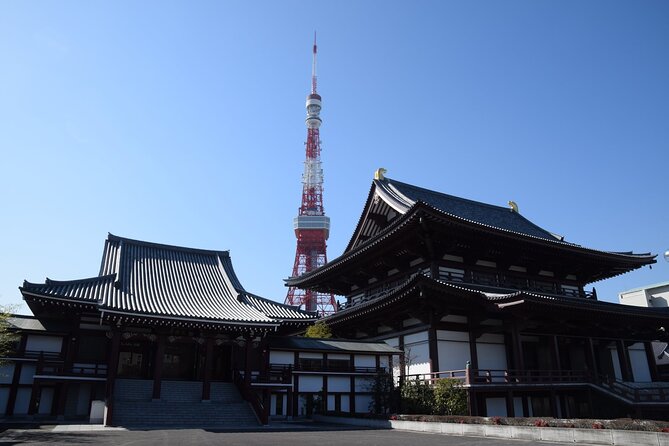 Private One Day Tokyo City Tour With Bilingual Driver - Positive Feedback and Good Experience