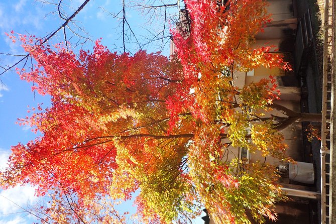 Short Morning Cycling Tour in Hida - Tour Details