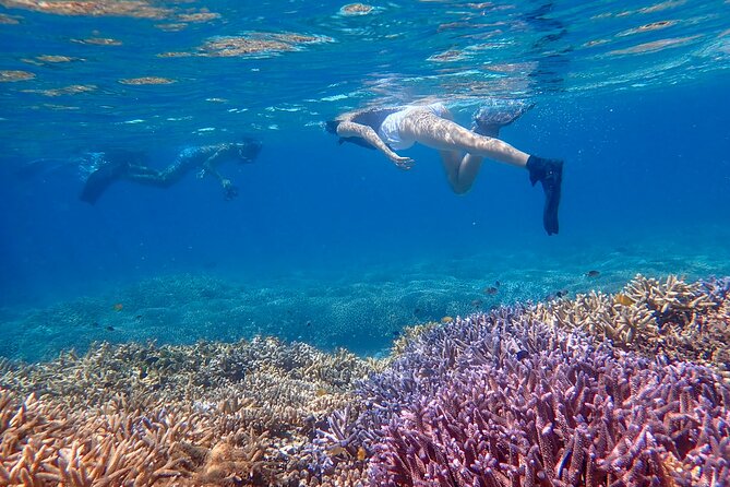 6-Hour Kayaking & Snorkeling Tour: Ishigaki & Phantom Islands