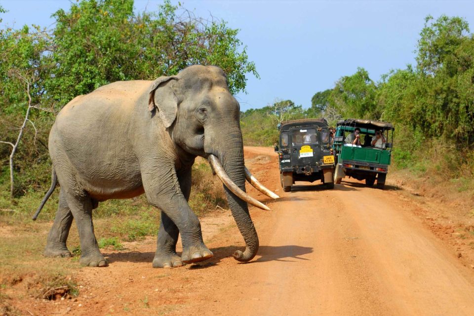 All-Inclusive Morning Game Drive at Bundala National Park - Frequently Asked Questions