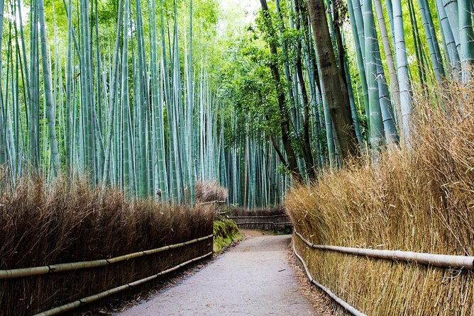 Arashiyama Bamboo Grove Day Trip From Kyoto With a Local: Private & Personalized - The Sum Up