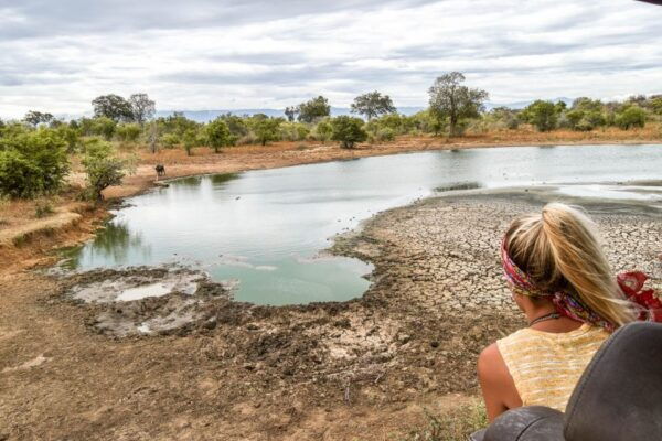 Bentota: Yala National Park Safari Jeep Tour in a 4x4 - Common Questions