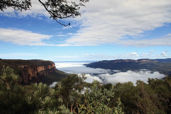 Blue Mountains Carbon Neutral Day Trip From Sydney With Lunch & Wildlife Park - Frequently Asked Questions