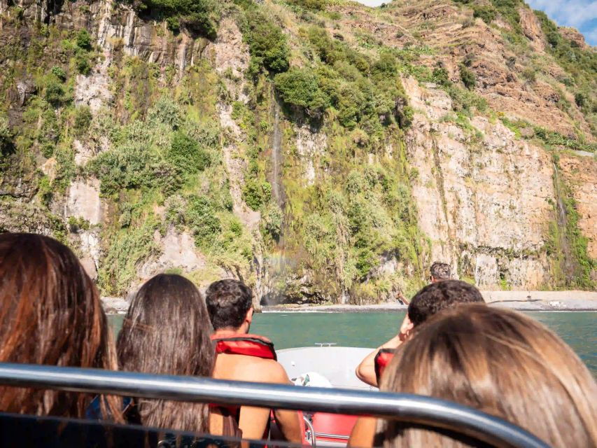 Calheta Madeira: Whale and Dolphin Watching Speed Boat Tour - Good To Know