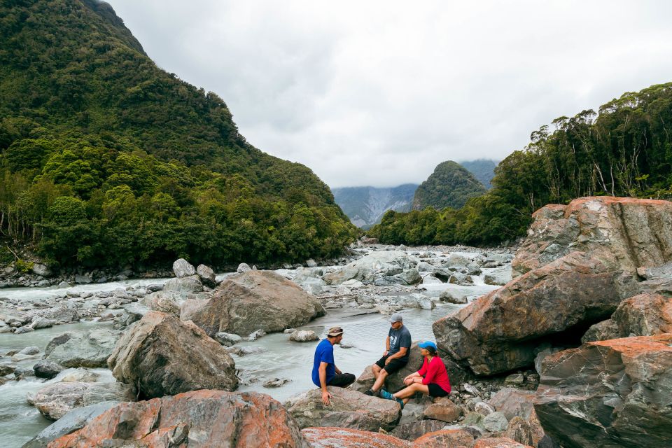 Fox Glacier: Half Day Walking & Nature Tour With Local Guide - Other Recommended Tours and Customer Reviews