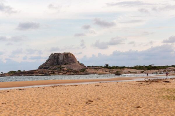 From Ella: Yala National Park Safari Tour in a 4x4 - How to Get There