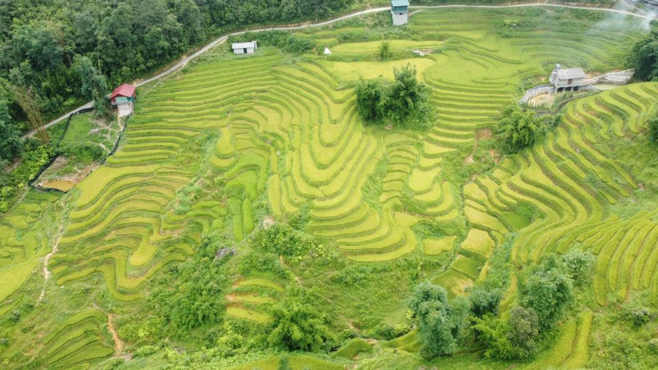 From Sapa: 1 Day Trekking to Terrace Field and Local Village - Background