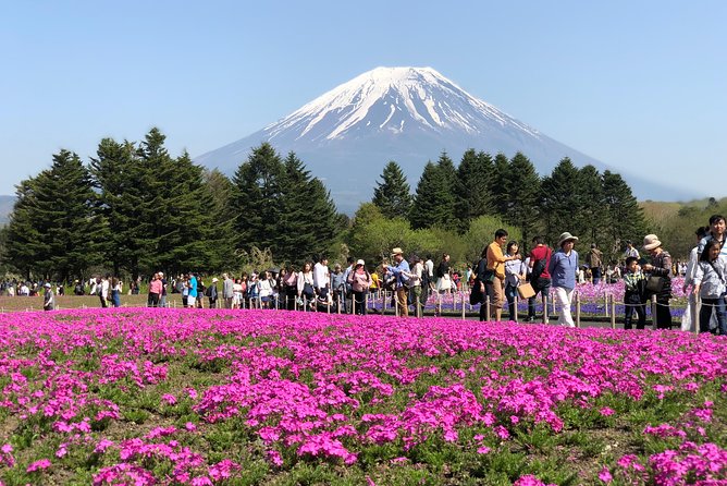 Full Day Private Fuji Tour With English Driver & Muslim Friendly - Kachi Kachi Ropeway