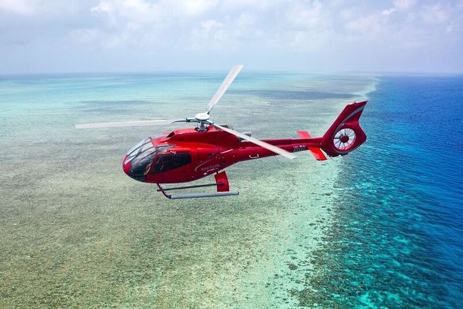 Great Barrier Reef Full-Day Cruise, Scuba Diving & Helicopter  - Cairns & the Tropical North - Frequently Asked Questions