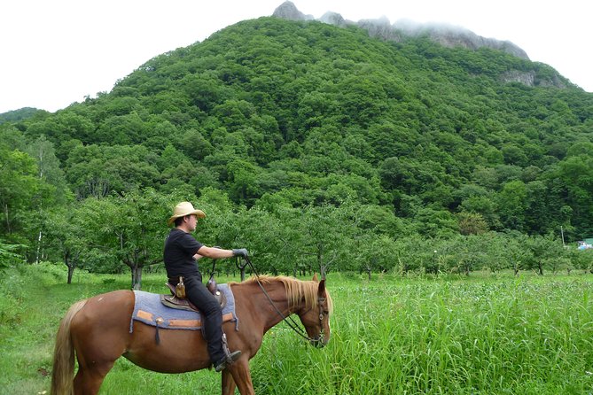 Horseback-Riding in a Country Side in Sapporo - Private Transfer Is Included - Tips and Recommendations