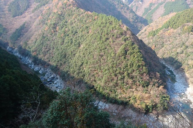 Iya Valley BROMPTON Bicycle Tour - Rave Reviews: 5.0 Rating and Positive Feedback