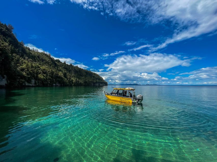 Kinloch: Lake Taupo Catamaran Cruise With Paddleboarding - Pricing and Reviews