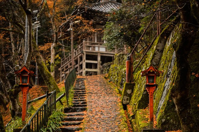 Kyoto Bamboo Forest Electric Bike Tour - Guest Feedback