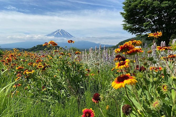 Lake Kawaguchiko Bike Tour - Reviews and Ratings