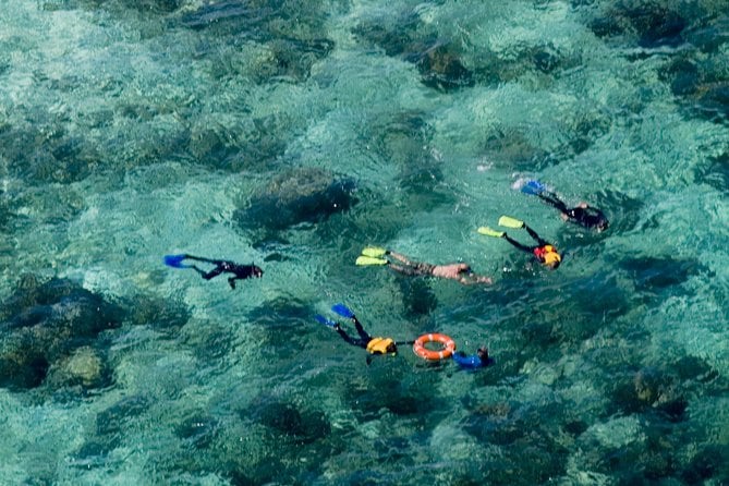 Ocean Freedom Great Barrier Reef Personal Luxury Snorkel & Dive Cruise, Cairns - The Sum Up