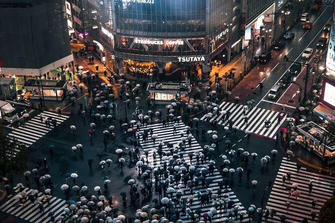 Private One Day Tokyo City Tour With Bilingual Driver - How to Book and Contact Information