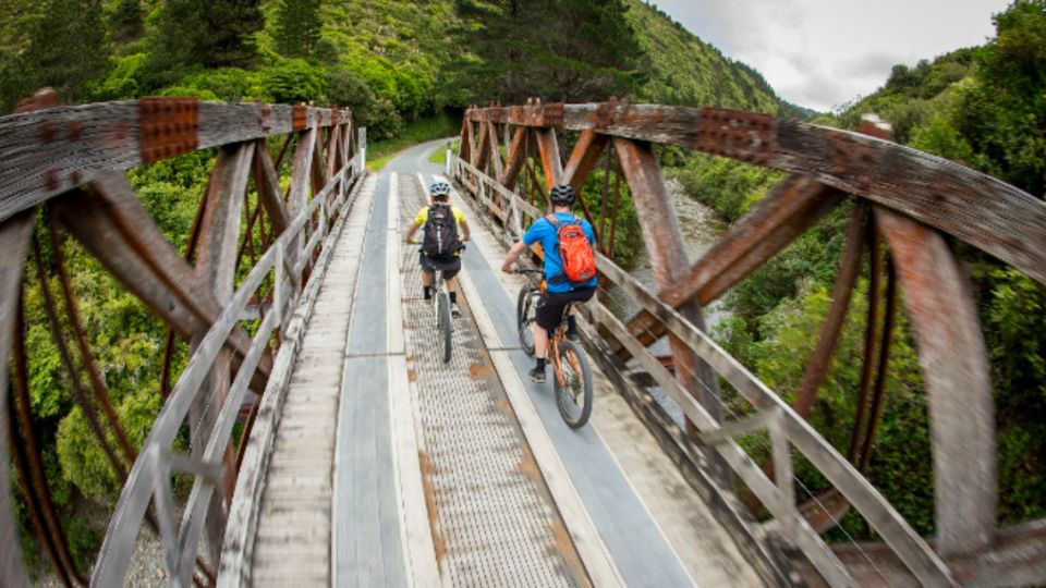 Remutaka Rail Trail Ebike Shore Excursion for Cruise Ships - Frequently Asked Questions