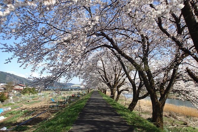 Short Morning Cycling Tour in Hida - Additional Information