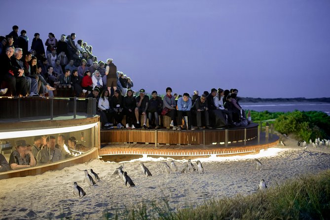 Small-Group Phillip Island Penguin Parade Day Tour From Melbourne - Frequently Asked Questions