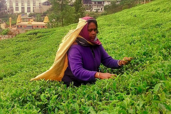 Tea Factories And Waterfalls Tour - Frequently Asked Questions