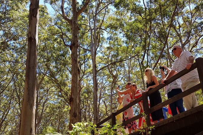 The All About Margaret River Tour: Wine, Coffee, Lunch and Forest - Tour Guide Ziggy