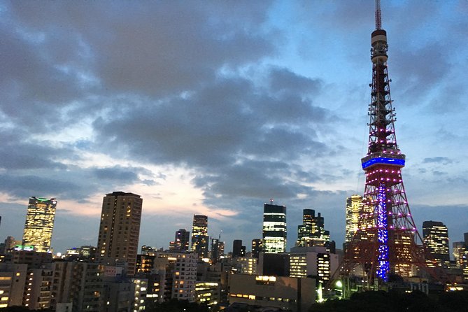 Tokyo Private Car Tour: Professional Guide and Driver/Optional Airport Xfer - Terms & Conditions