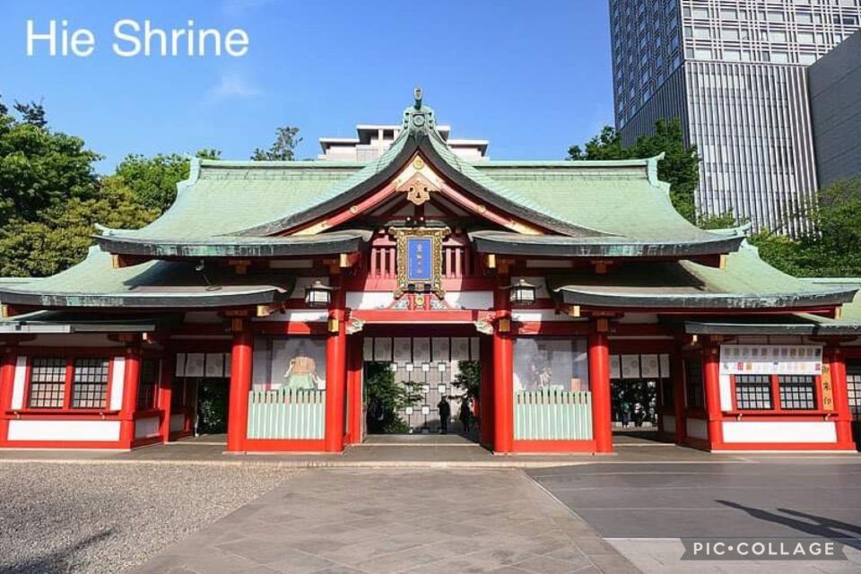 Tokyo: Private Full Day Sightseeing Tour - Driver and Language