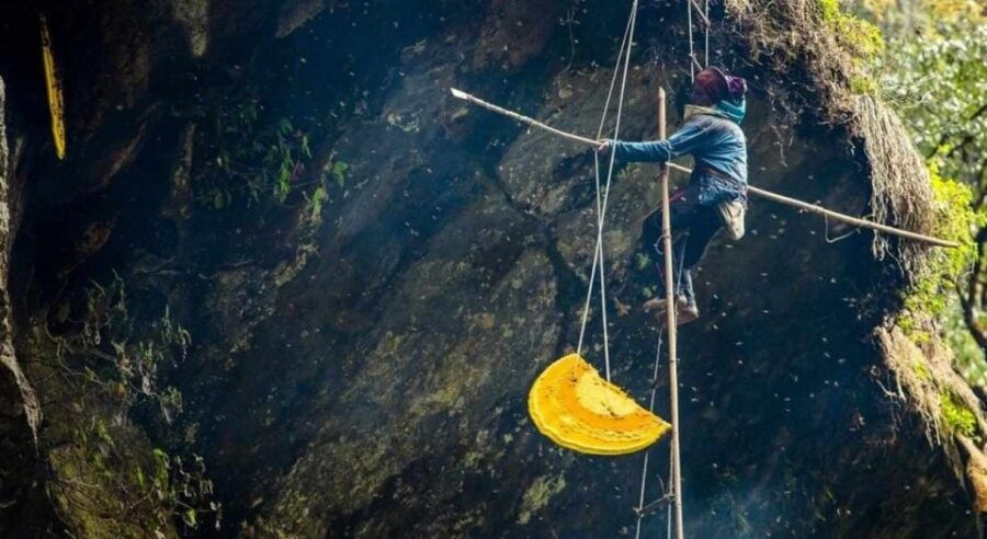 7 Days Wild Honey Hunting Tour in Lamjung, Nepal - Good To Know