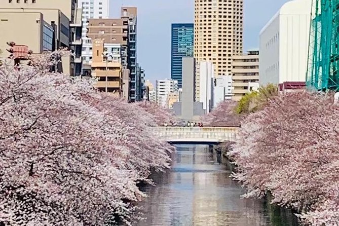 1 Day Private Charter Tokyo Sight Seeing Tour With Guide - Common Questions