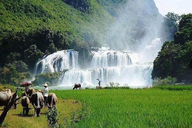 Ban Gioc Waterfall 2 Days 1 Night From Hanoi - Cancellation Policy and Weather Conditions