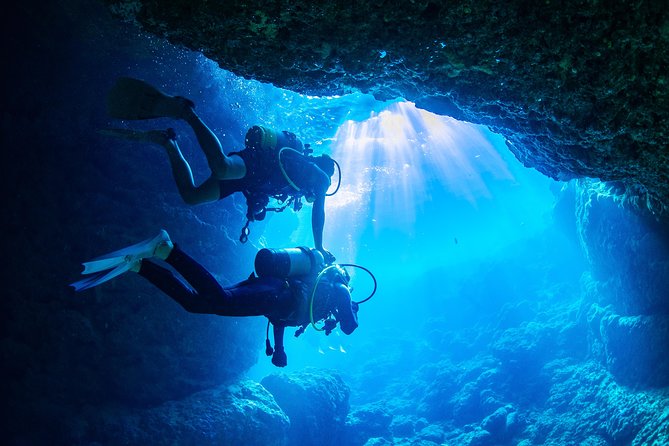 Blue Cave Experience Diving [Charter System / Boat Holding] I Am Very Satisfied With the Beautiful - Frequently Asked Questions