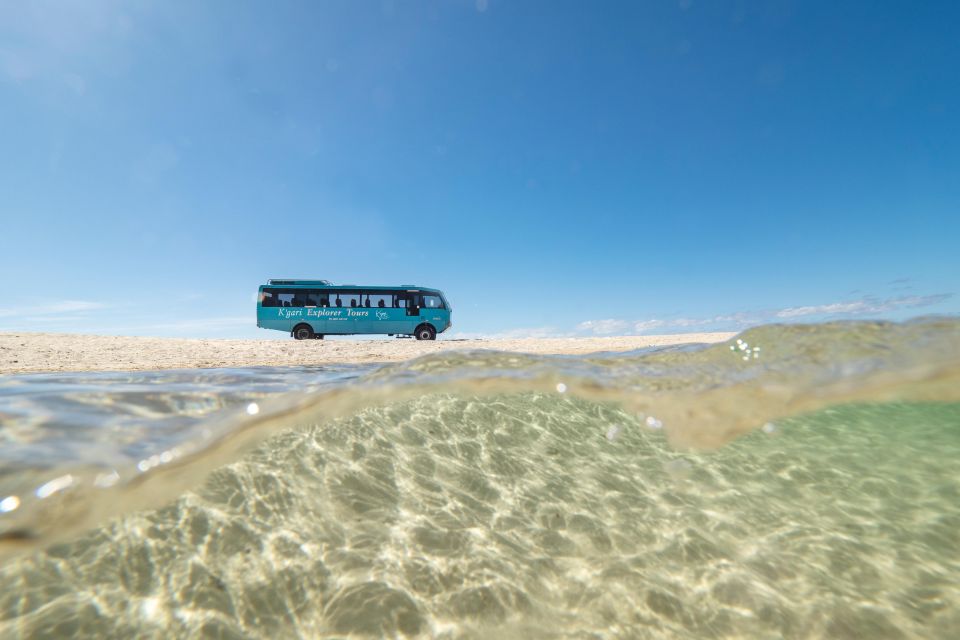 From Hervey Bay: K'gari, Fraser Island Full-Day Coach Tour - Customer Reviews and Ratings