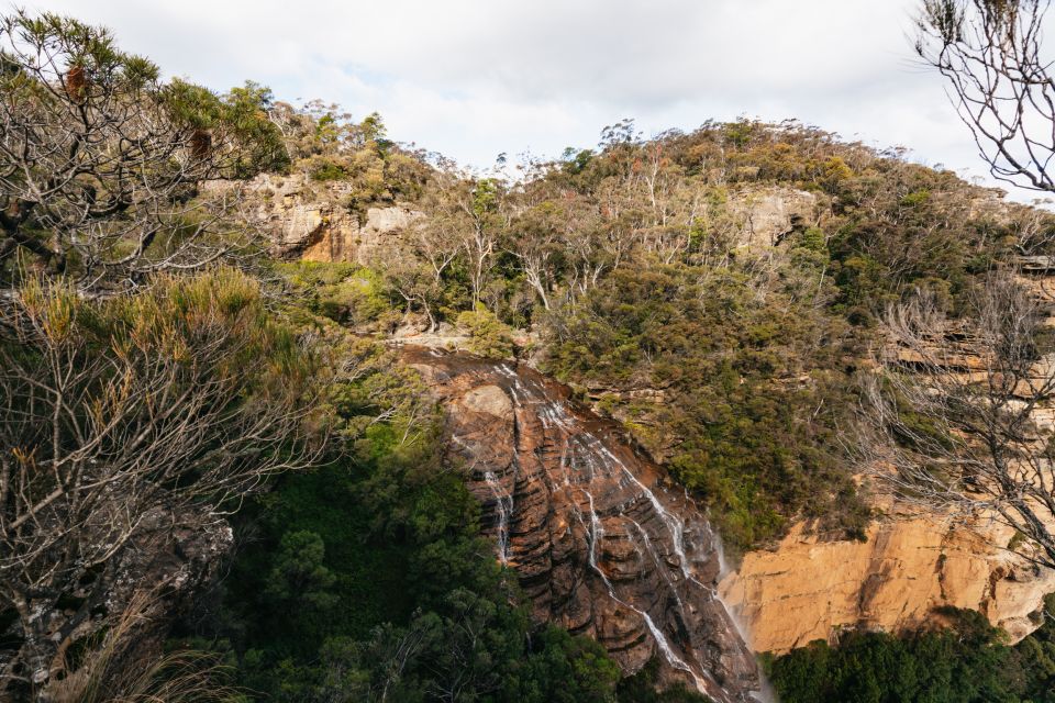 From Sydney: Blue Mountains Nature and Wildlife Tour - The Sum Up