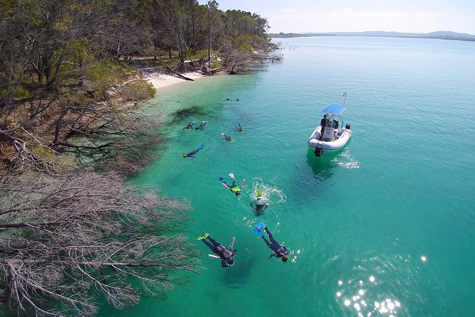 Hervey Bay to Fraser Island: Boat, Kayak, and Snorkel Day Tour - The Sum Up