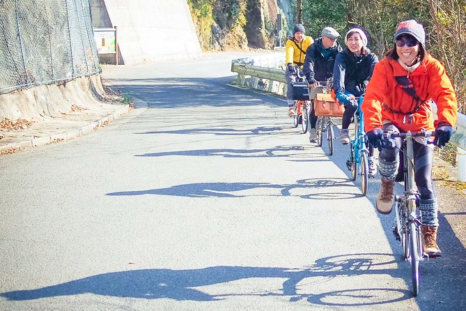 Iya Valley BROMPTON Bicycle Tour - Hassle-Free Booking: Pricing and Terms