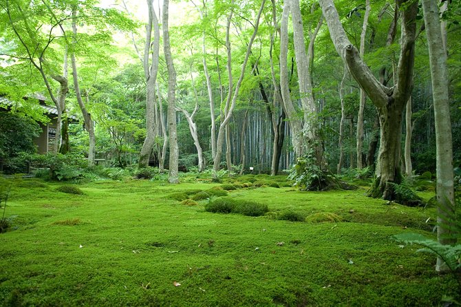 Kyoto Bamboo Forest Electric Bike Tour - Common Questions