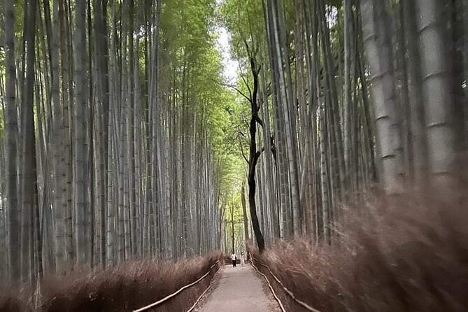 Kyoto Private Customizable Sightseeing Tour by Car-Up to 8 People - The Sum Up and Final Thoughts