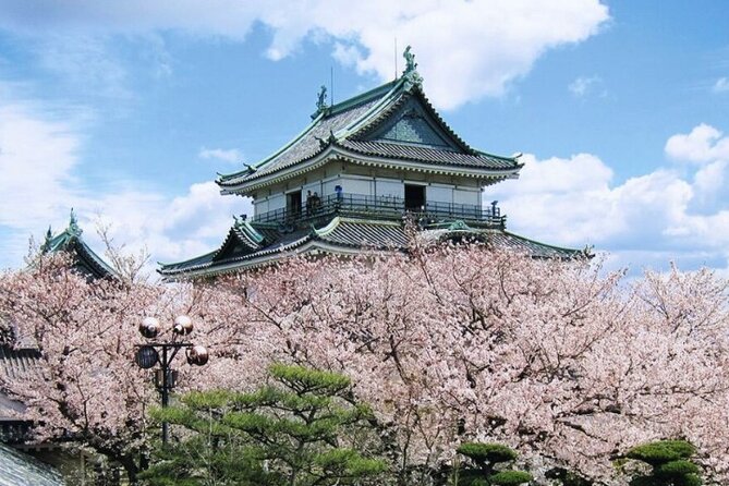 Nara, Todaiji Temple & Kuroshio Market Day BUS Tour From Osaka - Tour Guide and Value for Money