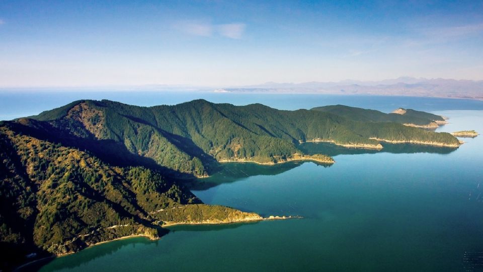 Picton and Marlborough Sounds: Seafood Odyssea Cruise - Experience and Highlights