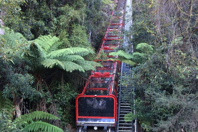 PRIVATE Blue Mountains Day Tour From Sydney With Wildlife Park and River Cruise - Featherdale Wildlife Park Experience