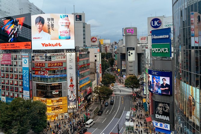Private City Kickstart Tour: Tokyo - Pricing and Booking Information