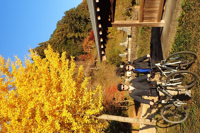 Short Morning Cycling Tour in Hida - Cancellation Policy and Reviews