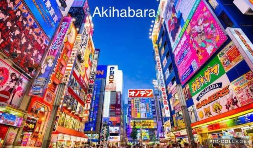 Tokyo: Private Full Day Sightseeing Tour - Tour Itinerary