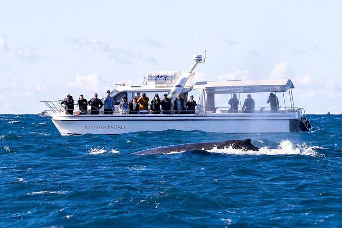 Whale Watching Boat Trip in Sydney - Frequently Asked Questions